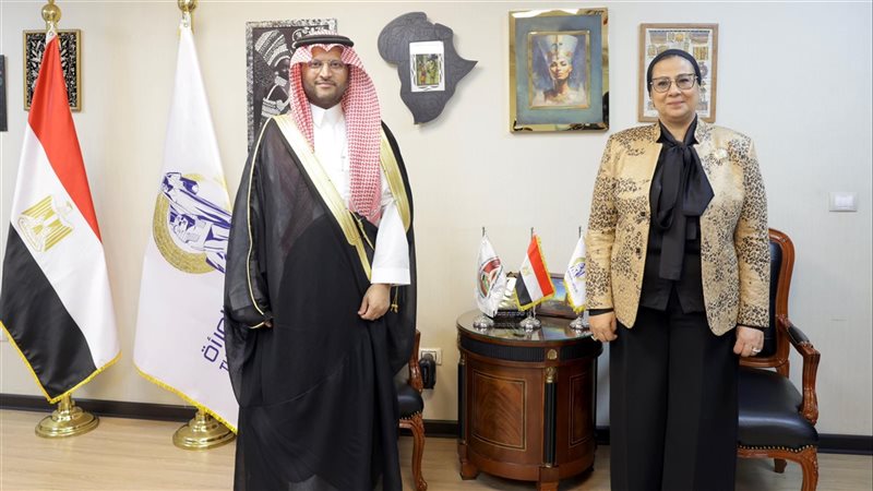 المستشارة أمل عمار