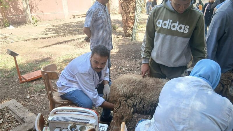 دعم الأسر المنتجة