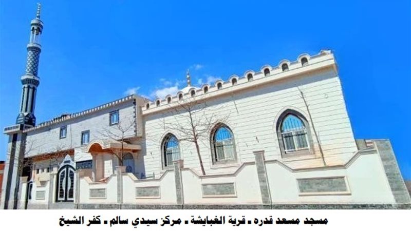 ارشيفية