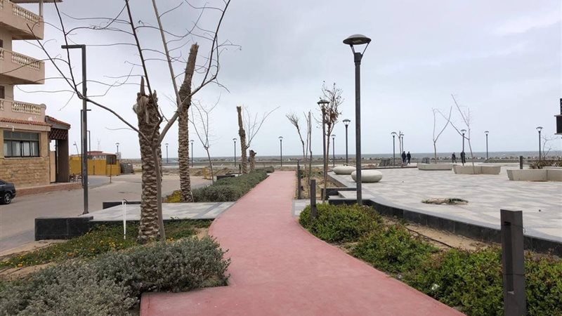 راس البر