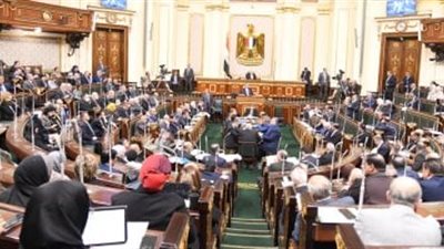 النائب إبراهيم الديب : 3 مليارات لحل مشكلة صرف مستحقي القطن