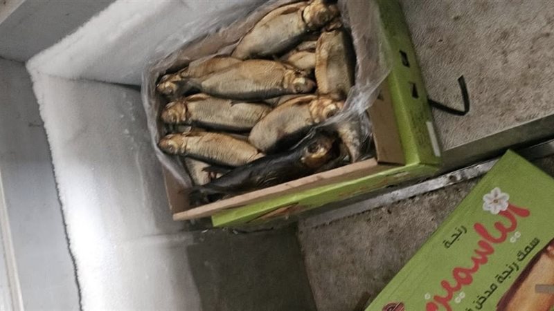 صورة من المضبوطات