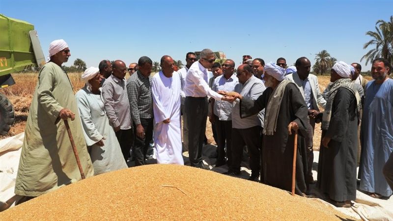 محافظ أسوان