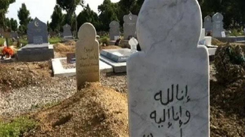 دار الإفتاء المصرية