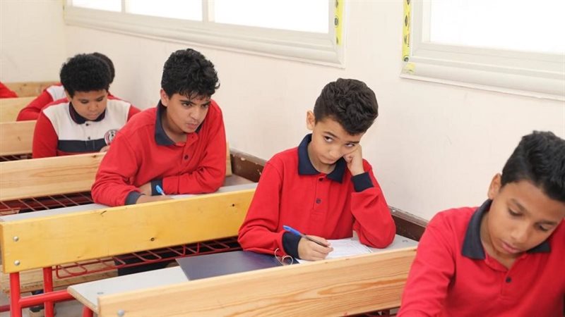 تحميل التقييمات الأسبوعية