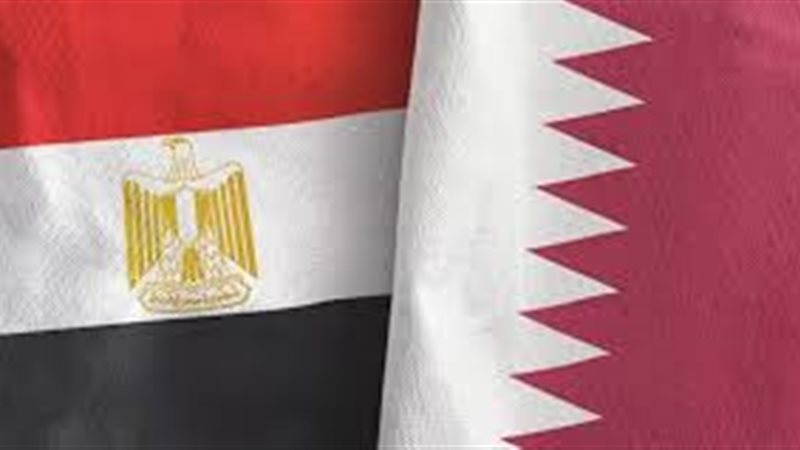 الاستثمارات القطرية