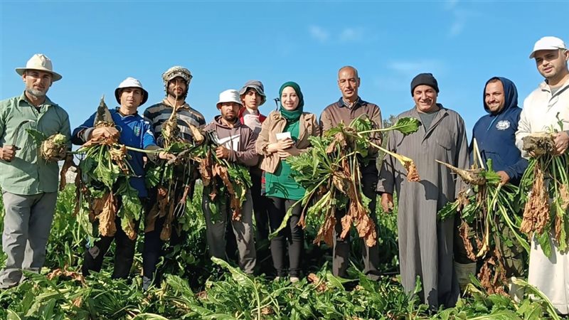محررة نيوز روووم