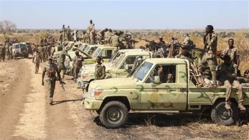 الجيش السودانى