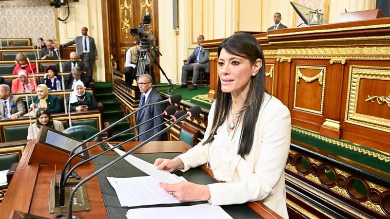رانيا المشاط