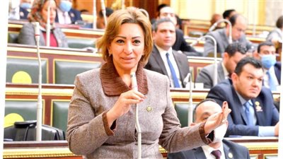 نائبة تتقدم بمقترح برلماني لتبني 