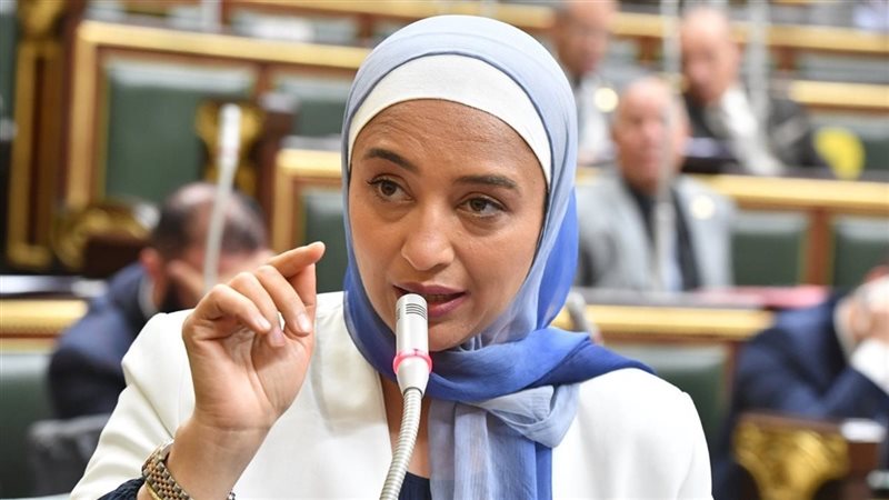 النائبة أميرة أبوشقة