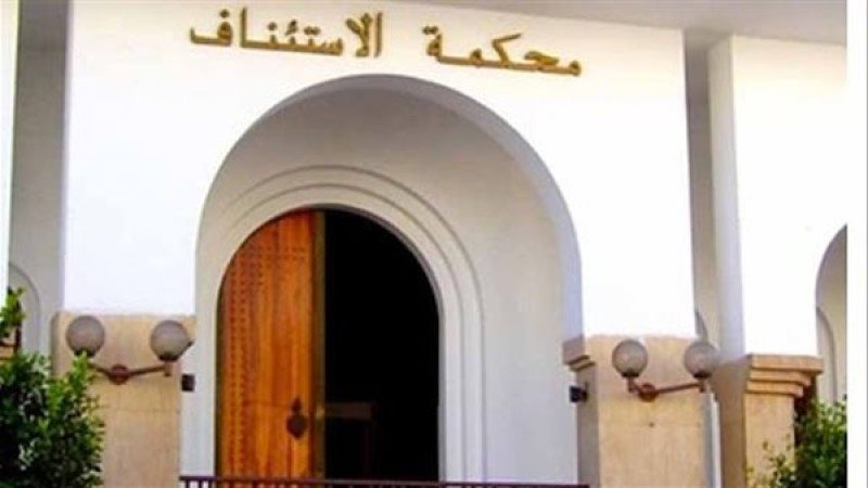دار القضاء العالى