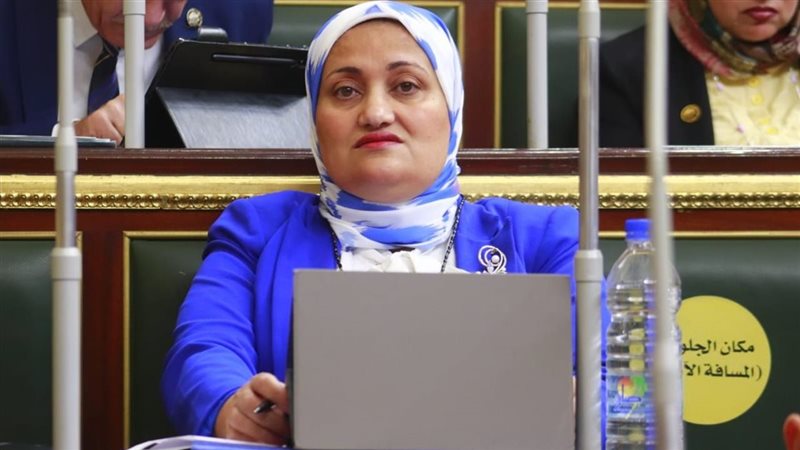 النائبة سناء السعيد