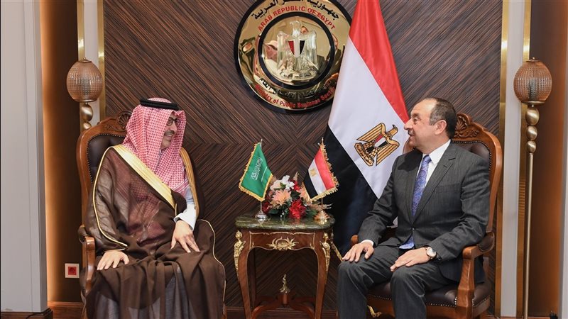 وزير قطاع الأعمال