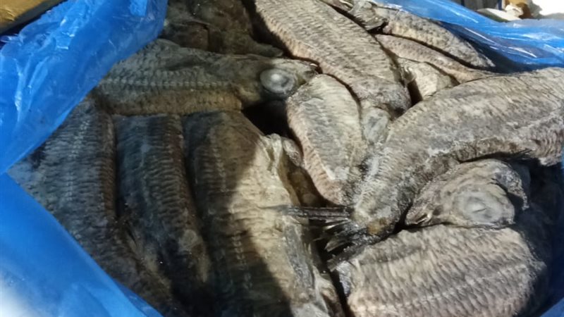 المضبوطات