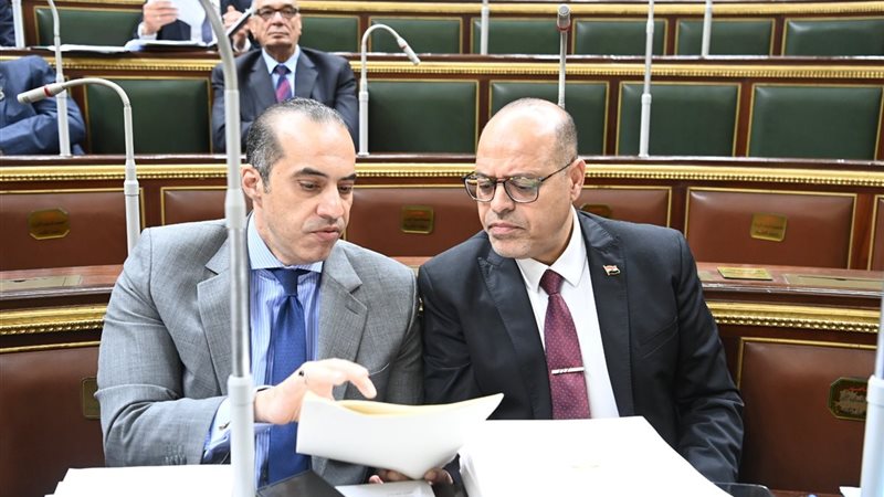 وزير العمل في مجلس