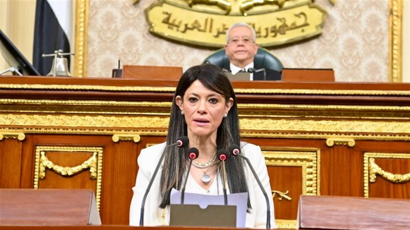 وزيرة التخطيط