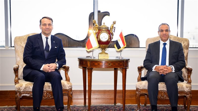 وزير الخارجية المصري