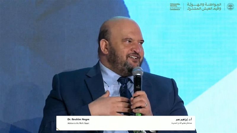 الدكتور إبراهيم نجم