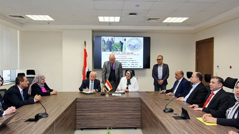 المصرية لنقل الكهرباء
