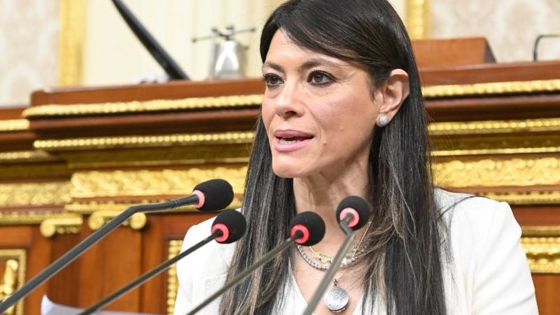 وزيرة التخطيط