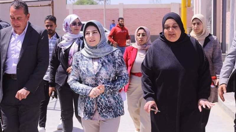 محافظ دمياط