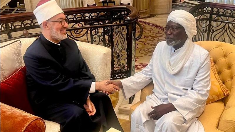 مفتي الجمهورية ومفتي