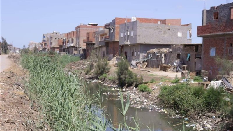 الترعة في دمياط