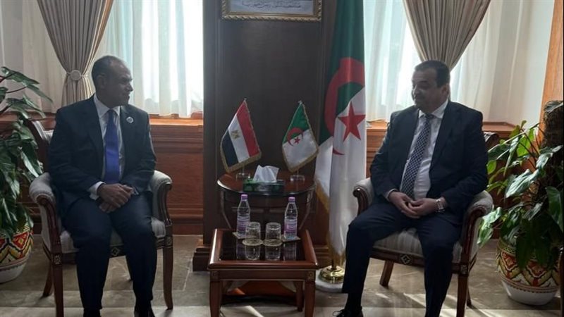 وزير الخارجية المصري