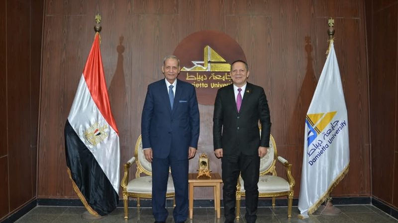 جامعة دمياط