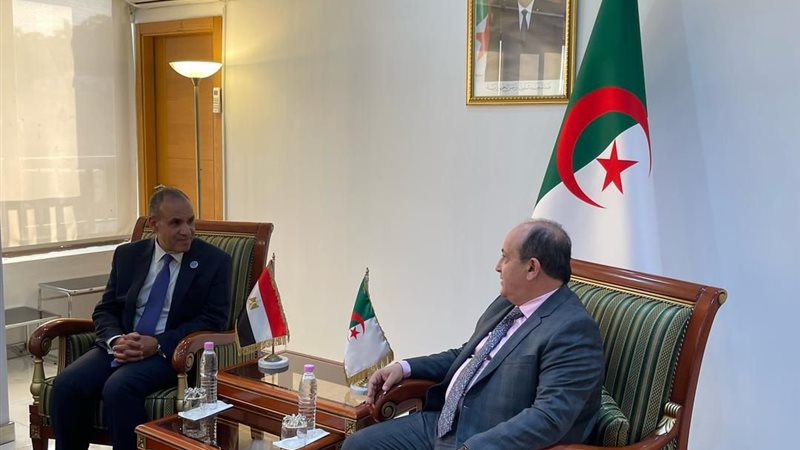 وزير الخارجية المصري