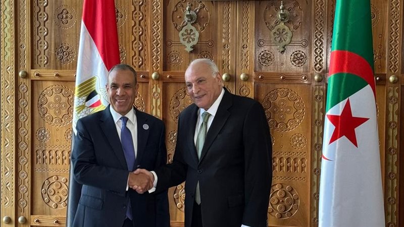 وزير الخارجية المصري