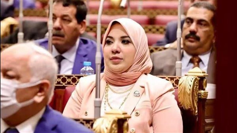 النائبة دينا هلالي