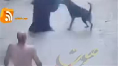 60 ثانية رعب .. شخص يطلق كلب شرس على سيدة في الشارع