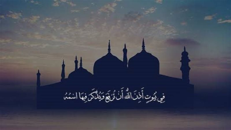 ما معنىالبيوتفي قوله