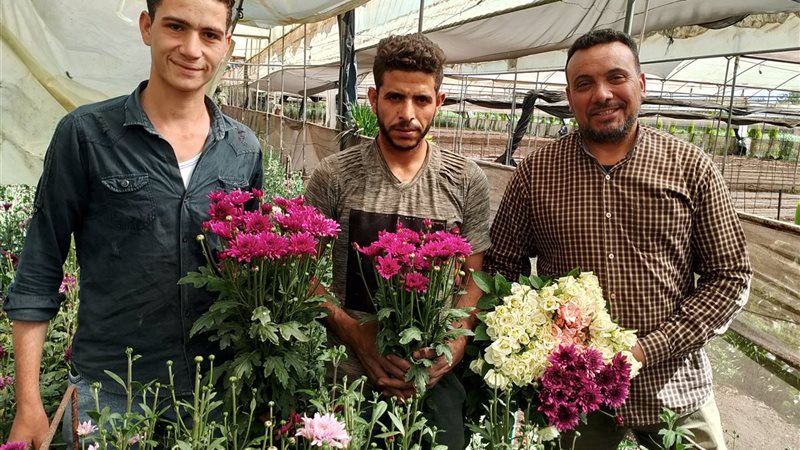 زهور عزبة الأهالي