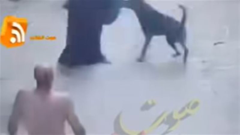جانب من الواقعة