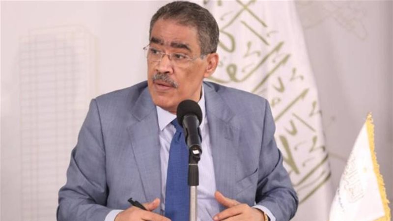 الدكتور ضياء رشوان،
