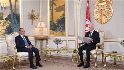  وزير الخارجية يسلم رسالة خطية من الرئيس السيسي إلى الرئيس التونسي