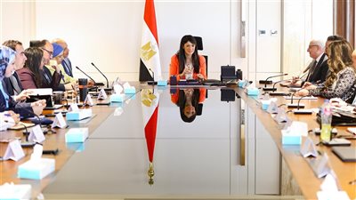 «المشاط» توجه بالبدء الفوري فى إعداد خطة التنمية متوسطة المدى 
