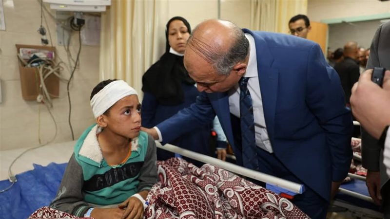 محافظ المنيا