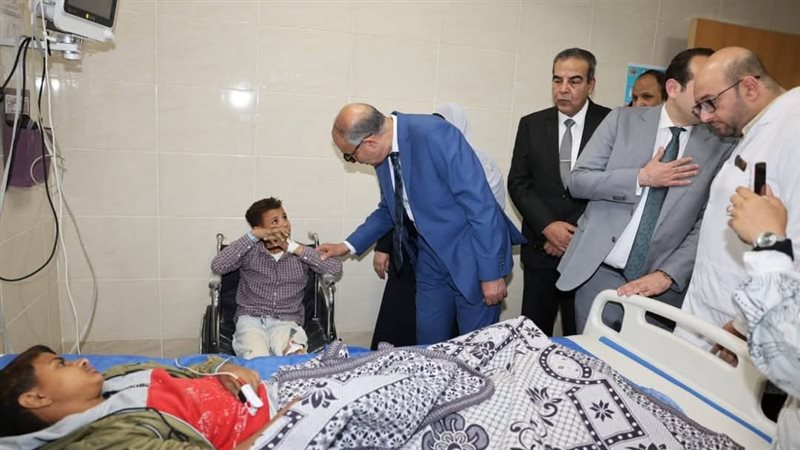 محافظ المنيا