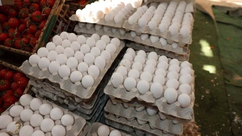 اسعار البيض في المنيا