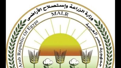 وزير الزراعة: تصدير 3.7 مليون طن محاصيل.. والموالح تتصدر القائمة