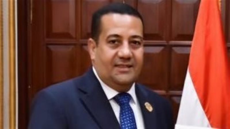 النائب ناصري الضوي