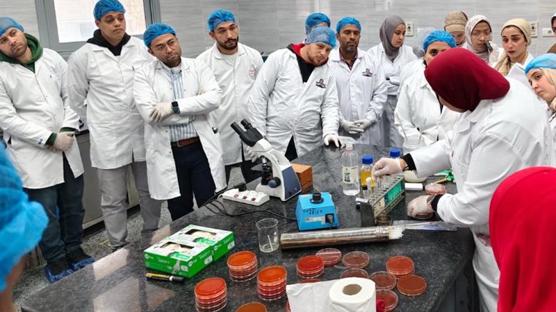 فعاليات التدريب 