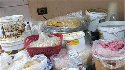 مربي وجبن وخميرة.. ضبط مخبز إفرنجي يستخدم مواد منتهية الصلاحية ببورسعيد 