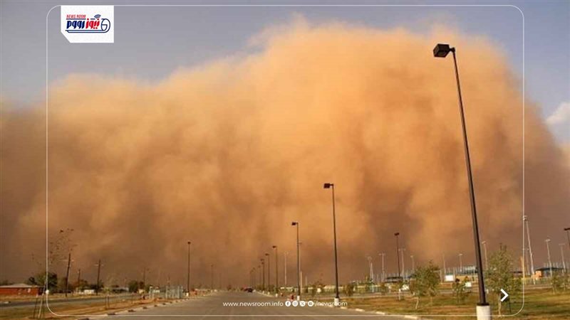 عاصفة تربية