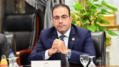 حزب مستقبل وطن يجدد الثقة في الدكتور محمود حسين أميناً للمصريين بالخارج 