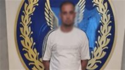 ضبط شخص لقتله كلبا ضالا بالعصا في التجمع الخامس بالقاهرة 